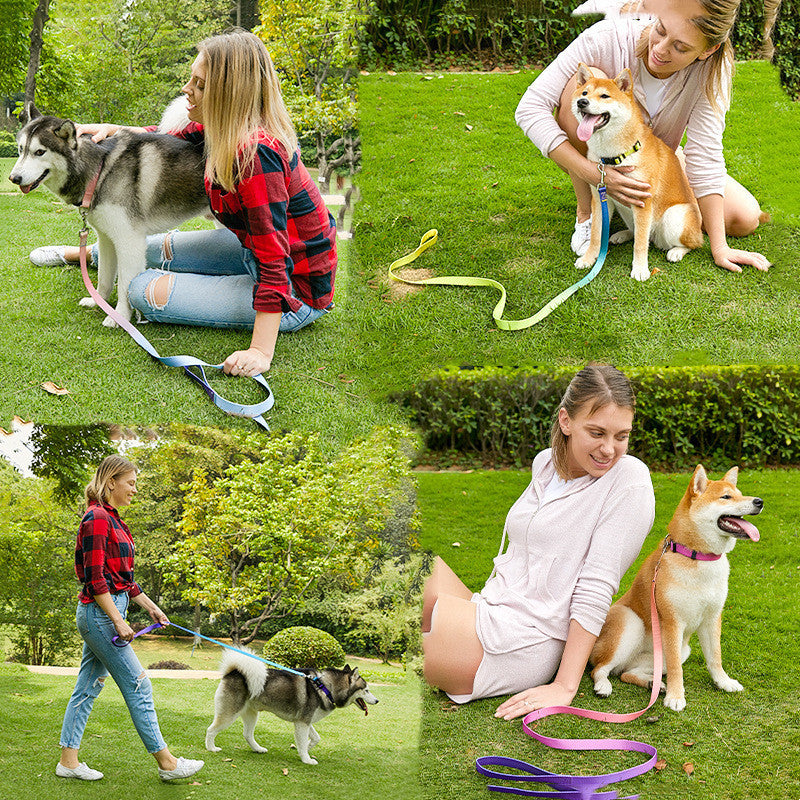 WENDYLOVE - Hundehalsband-Leinen SET mit Farbverlauf