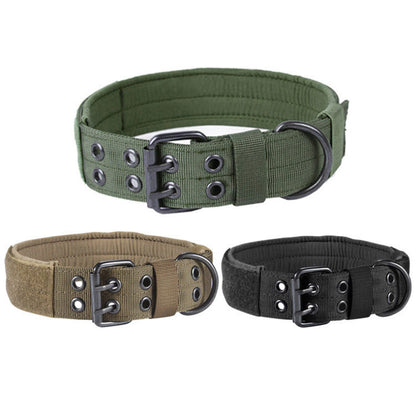 🐾 WENDYLOVE – Robustes Nylon Hundehalsband für Training & Jagd 🐾