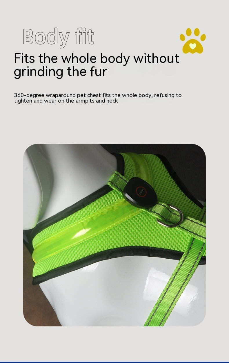 WENDYLOVE -  PREMIUM LED Hundegeschirr