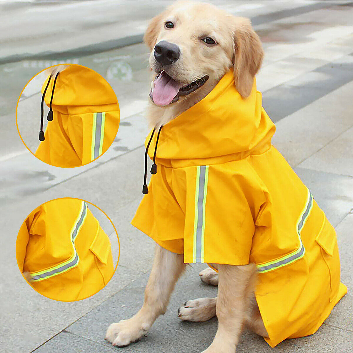 WENDYLOVE – Wasserfeste Hunde-Regenjacke aus Kunstleder
