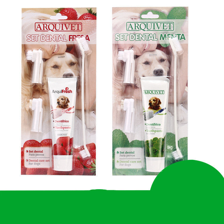 WENDYLOVE - Premium ZAHNBÜRSTEN SET