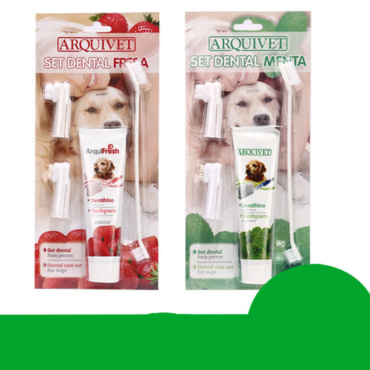 WENDYLOVE - Premium ZAHNBÜRSTEN SET