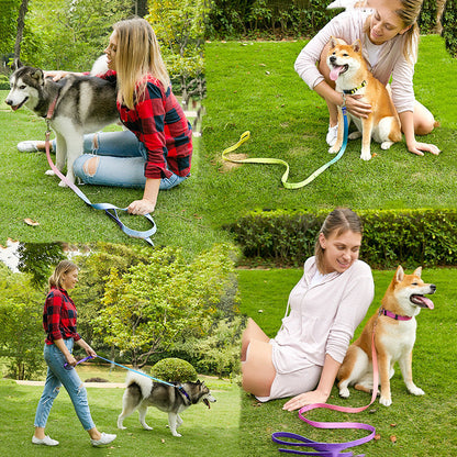 WENDYLOVE - Hundehalsband-Leinen SET mit Farbverlauf