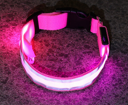 LED Nylon Hundehalsband
