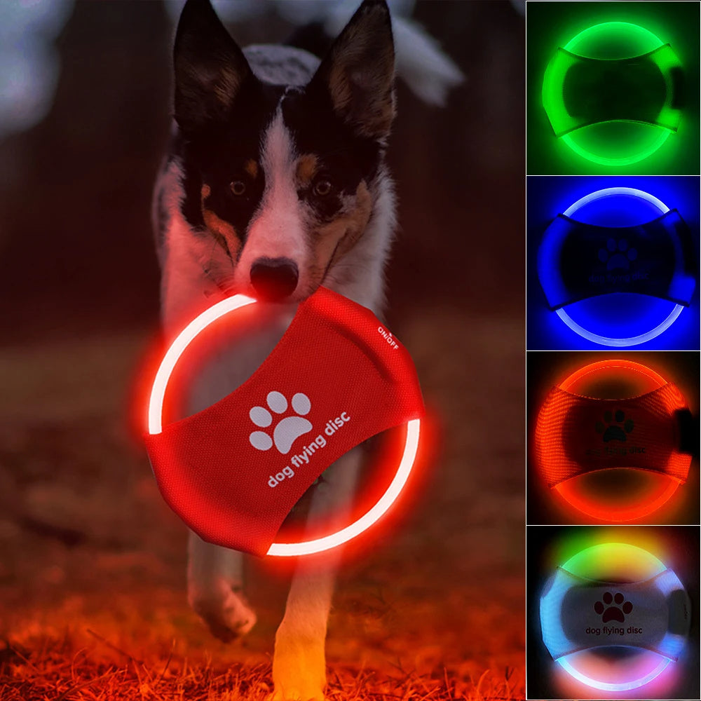 WENDYLOVE - LED Hundefrisbee – Wiederaufladbar & extra robust
