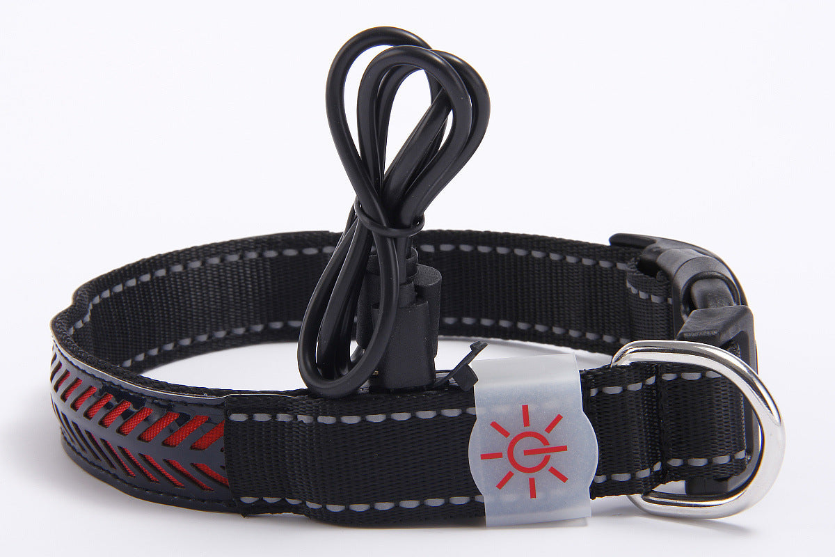 WENDYLOVE - LED - Leuchthalsband für Hunde, graviertes Leder