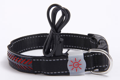 WENDYLOVE - LED - Leuchthalsband für Hunde, graviertes Leder