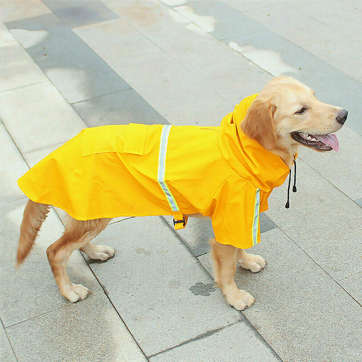 WENDYLOVE – Wasserfeste Hunde-Regenjacke aus Kunstleder