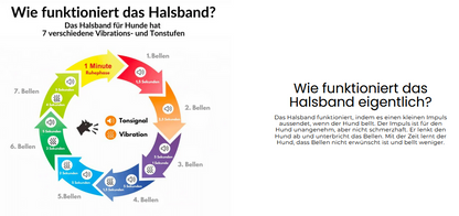 WENDYLOVE – Tierfreundliches Anti-Bell Halsband