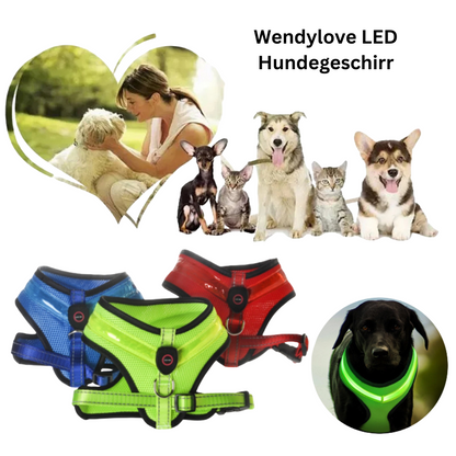 WENDYLOVE -  PREMIUM LED Hundegeschirr