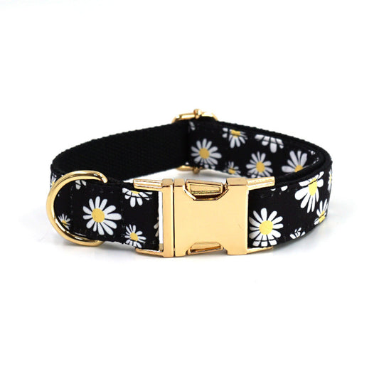 🌼 WENDYLOVE – Daisy Hundehalsband mit goldener Schnalle 🌼