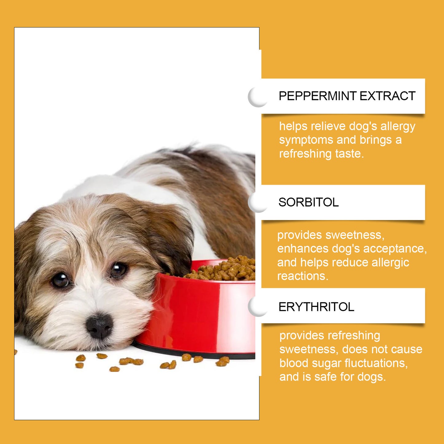 🐾 WENDYLOVE – Aufbau des Immunsystems & Schutz vor Allergien 🐾