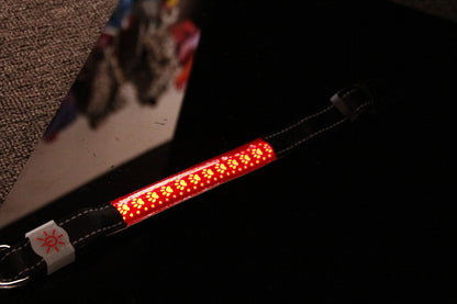 WENDYLOVE - LED - Leuchthalsband für Hunde, graviertes Leder