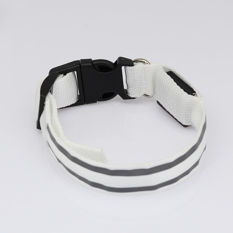 LED Nylon Hundehalsband