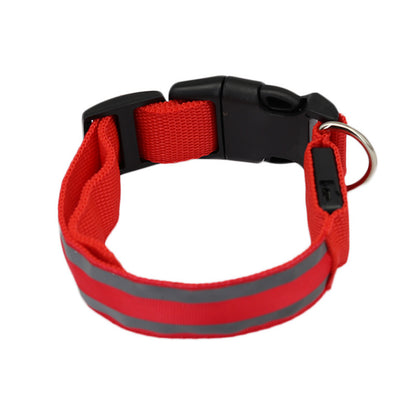 LED Nylon Hundehalsband