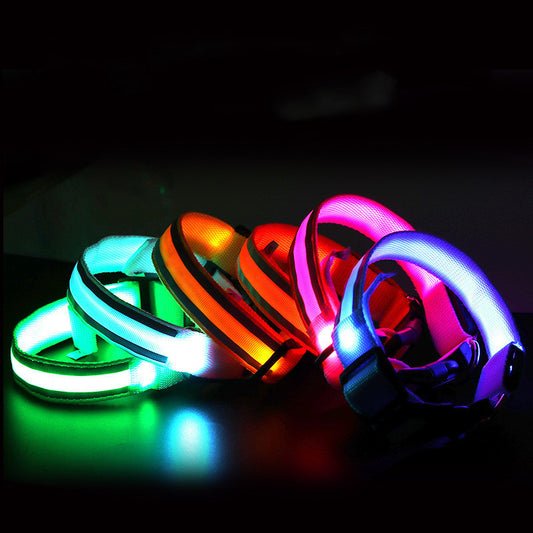 LED Nylon Hundehalsband