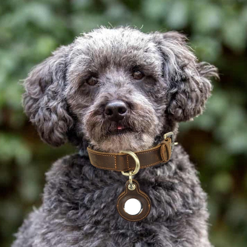 🐶 WENDYLOVE – SafeTrack Retro Halsband mit AirTag-Fach