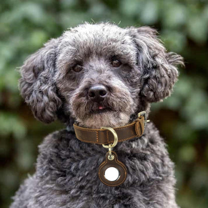 🐶 WENDYLOVE – SafeTrack Retro Halsband mit AirTag-Fach